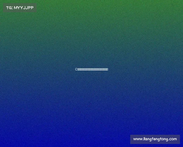 C罗意甲赛场辉煌征程重温经典进球与胜利瞬间